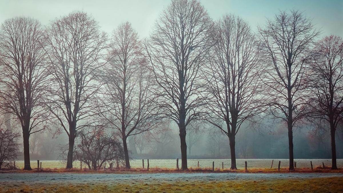 cod galben de vreme rea ploile si viscolul lovesc numeroase judete ale tarii