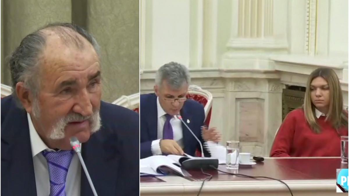 tiriac halep si nastase in parlament pentru a discuta soarta arenelor bnr