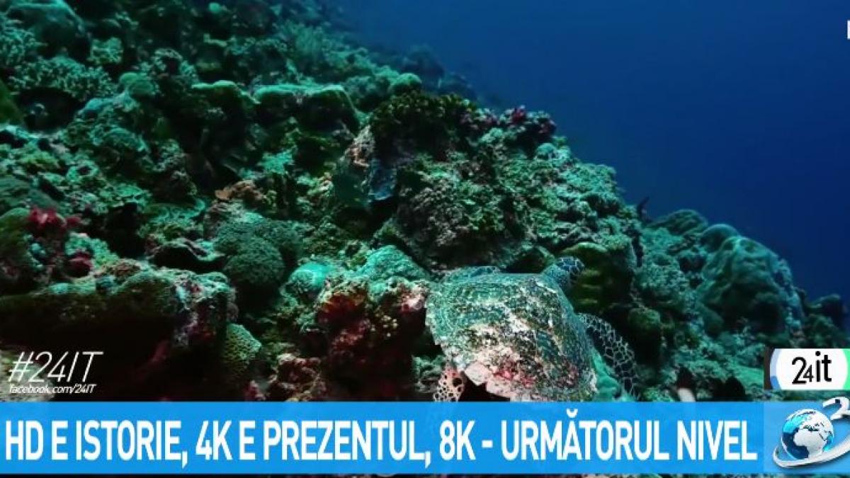 hd e istorie 4k e prezentul 8k urmatorul nivel ce inseamna 4k la televizoare si proiectoare