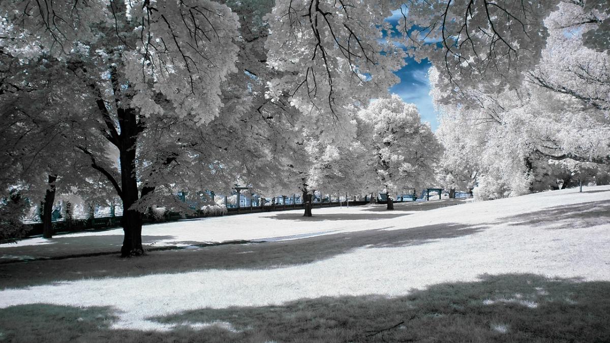Prognoză meteo. Vremea va fi în continuare rece