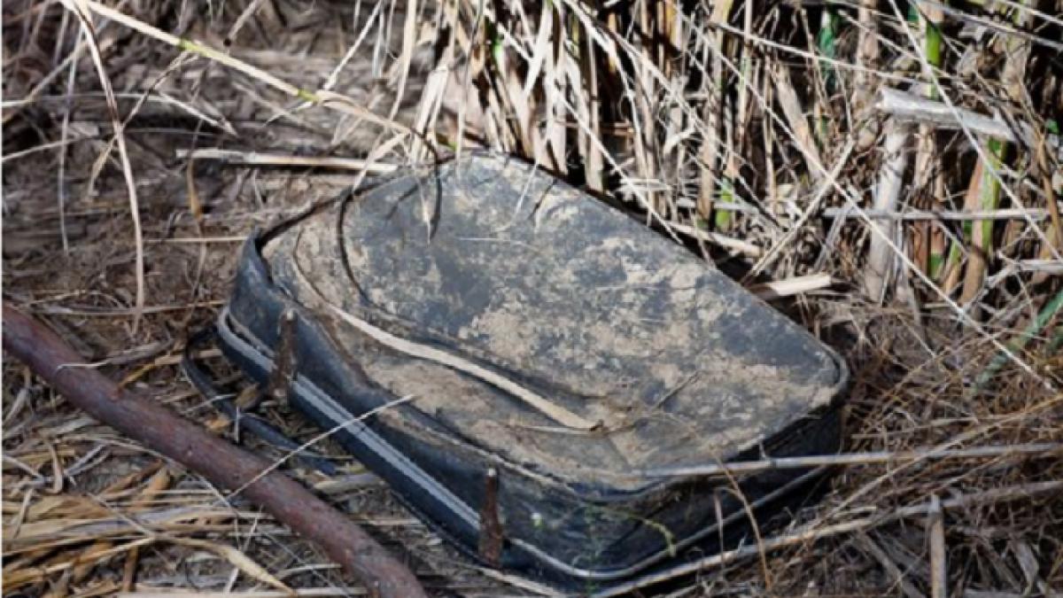 a gasit o valiza veche si murdara abandonata intr un tufis s a apropiat si cand a deschis o a avut