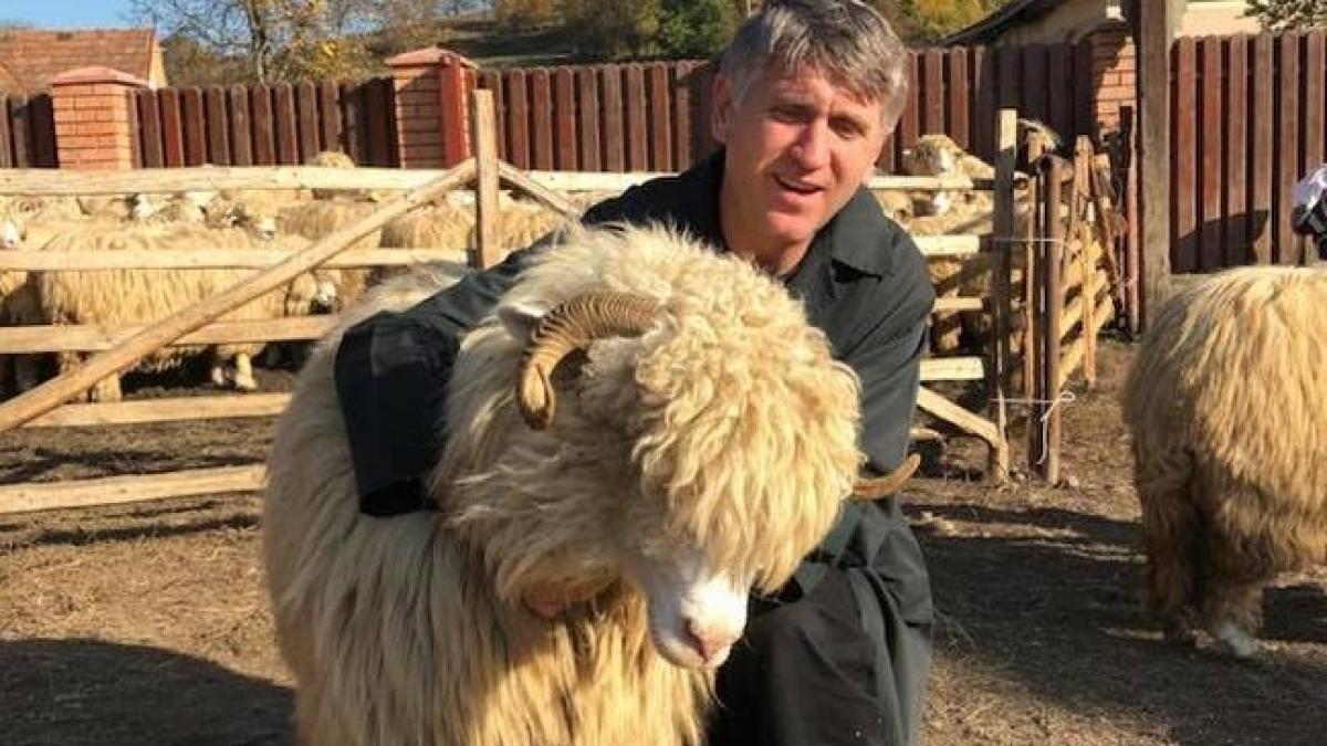 ce posta cristian pomohaci pe pagina sa de facebook in plin scandal putini se asteapta la asta