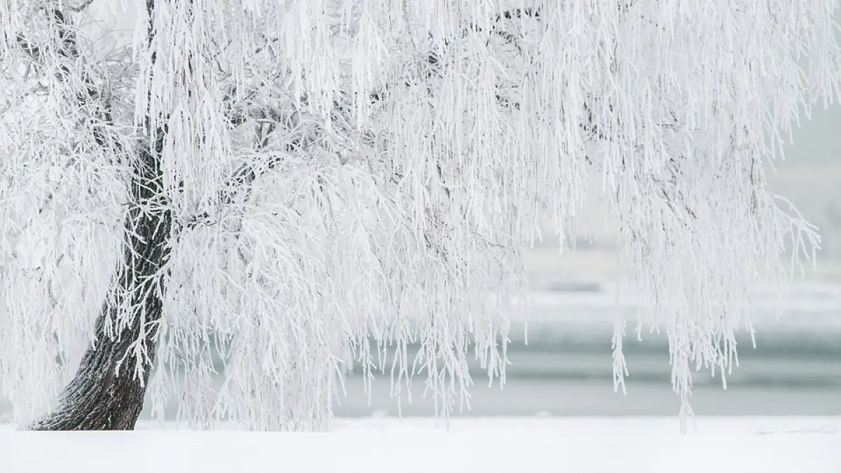 vreme inchisa in cea mai mare parte a tarii prognoza meteo pentru sfarsitul saptamanii