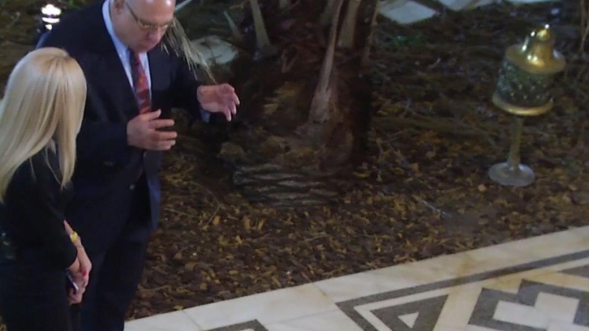 locul de relaxare a lui nicolae ceausescu era bolnav iar in fiecare seara avea nevoie sa