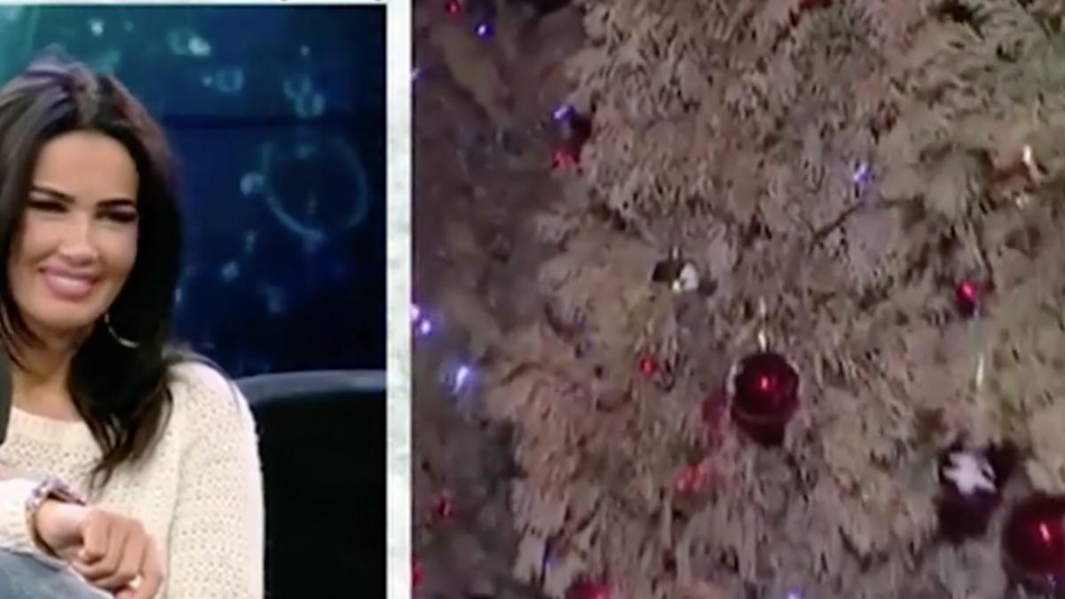 wow universul magic al oanei zavoranu cu ce decoratiuni de lux si a impodobit vedeta casa