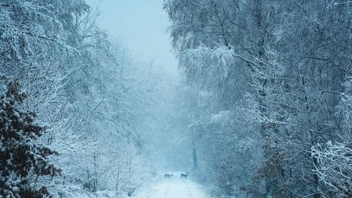 circa 150 de turisti blocati in telegondole la munte