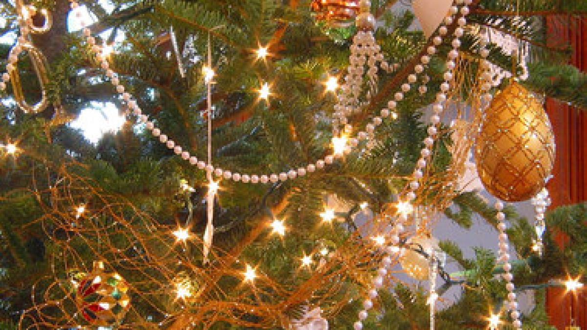 mare atentie ce boli aduce bradul de craciun