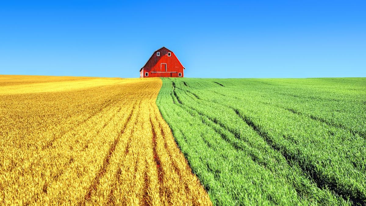 caz socant in sicilia mai multi romani au fost exploatati la o ferma patronul ii platea cu o suma