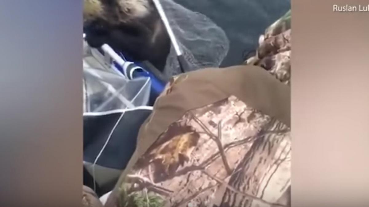 era la pescuit cand a vazut o faptura ciudata care incerca sa se urce in barca cand s au uitat mai