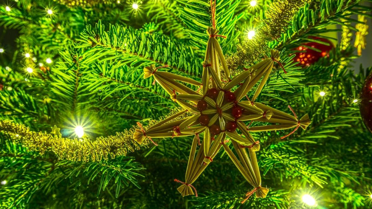 la ce data se despodobeste de fapt bradul de craciun multi romani habar n aveau asta