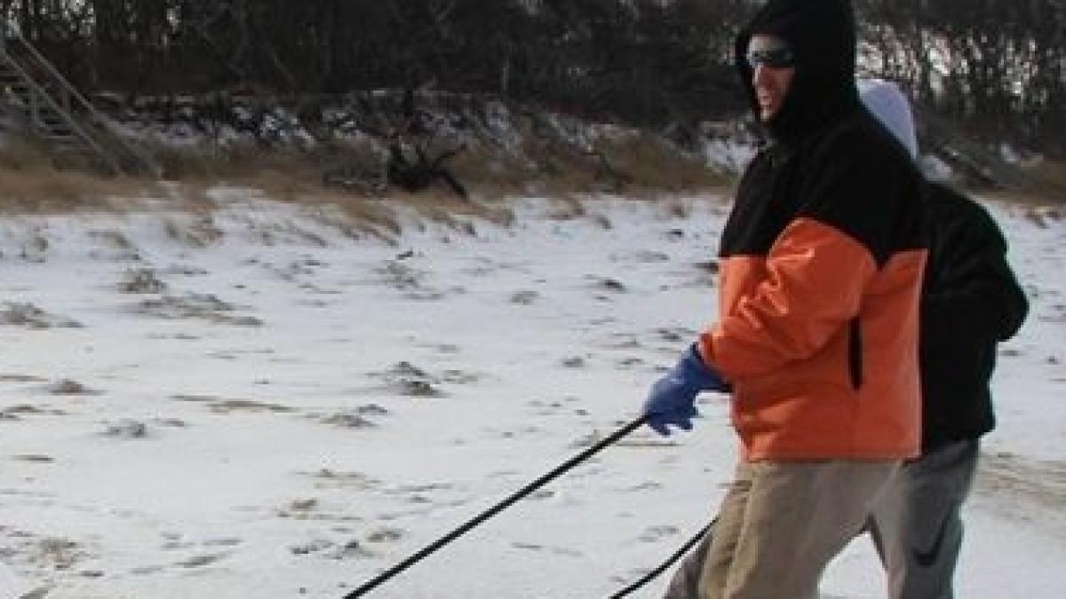 se plimba pe o plaja inghetata cand a zarit o bestie de neinchipuit a facut cativa pasi spre ea si