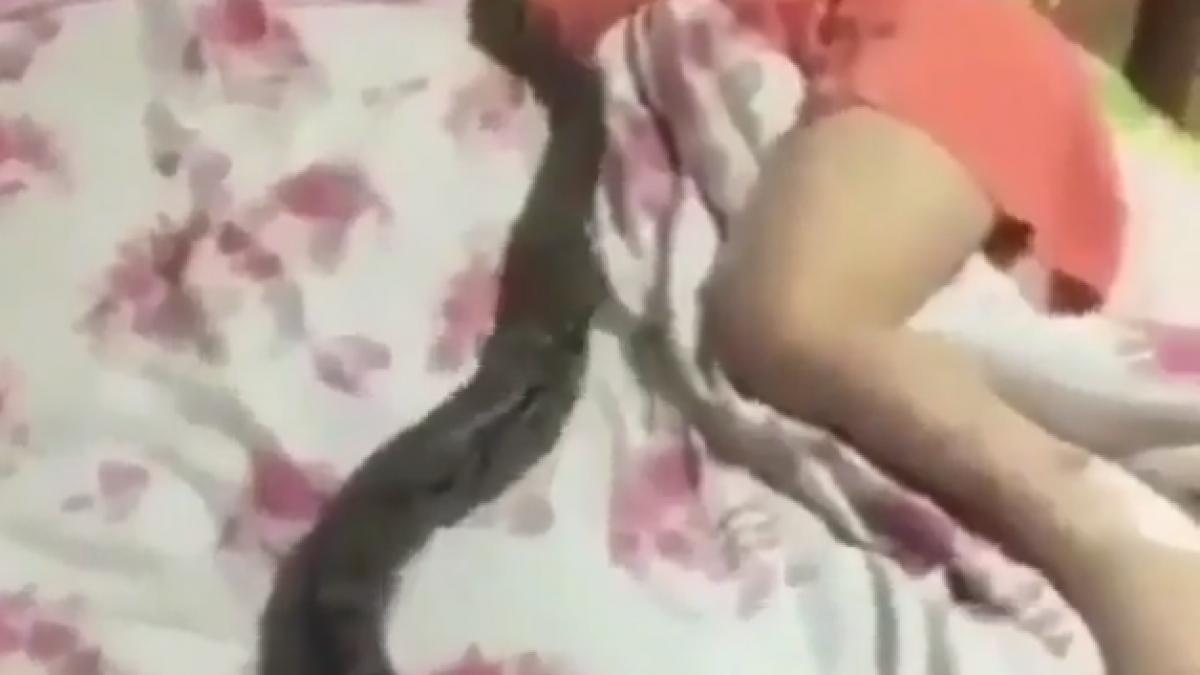 video sase vine sarpele ce se intampla in clipa urmatoare te trec fiori reci pe sira spinarii