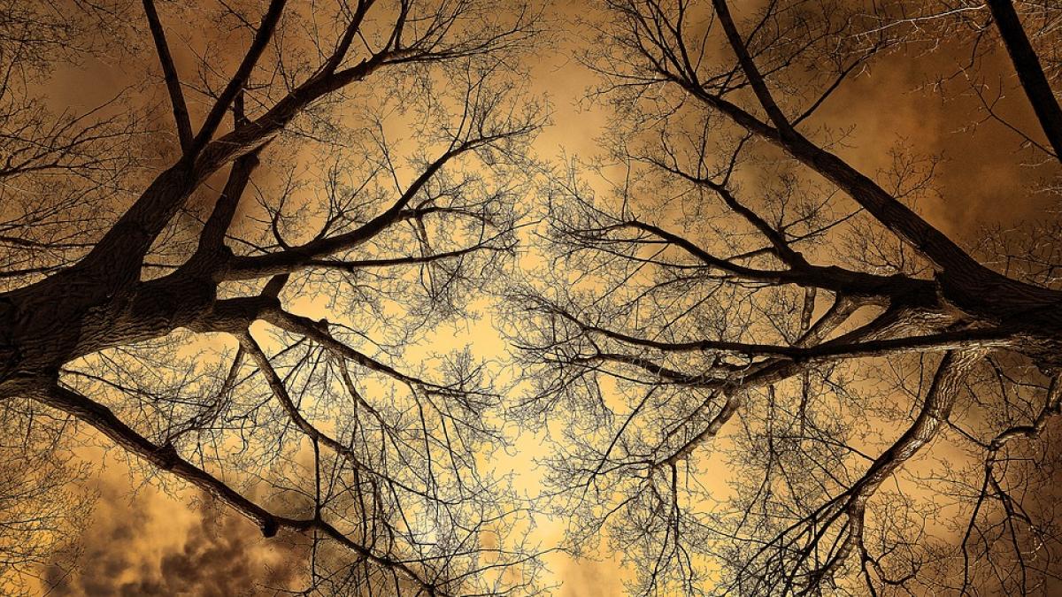 cum va fi vremea in urmatoarele doua saptamani anuntul facut de meteorologi