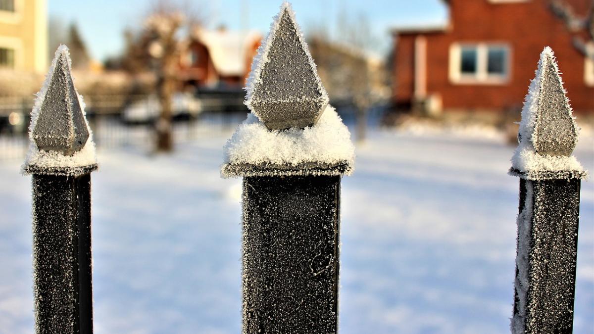 descoperire socanta in gradina unui iesean oamenilor nu le a venit sa creada ca a fost posibil asa