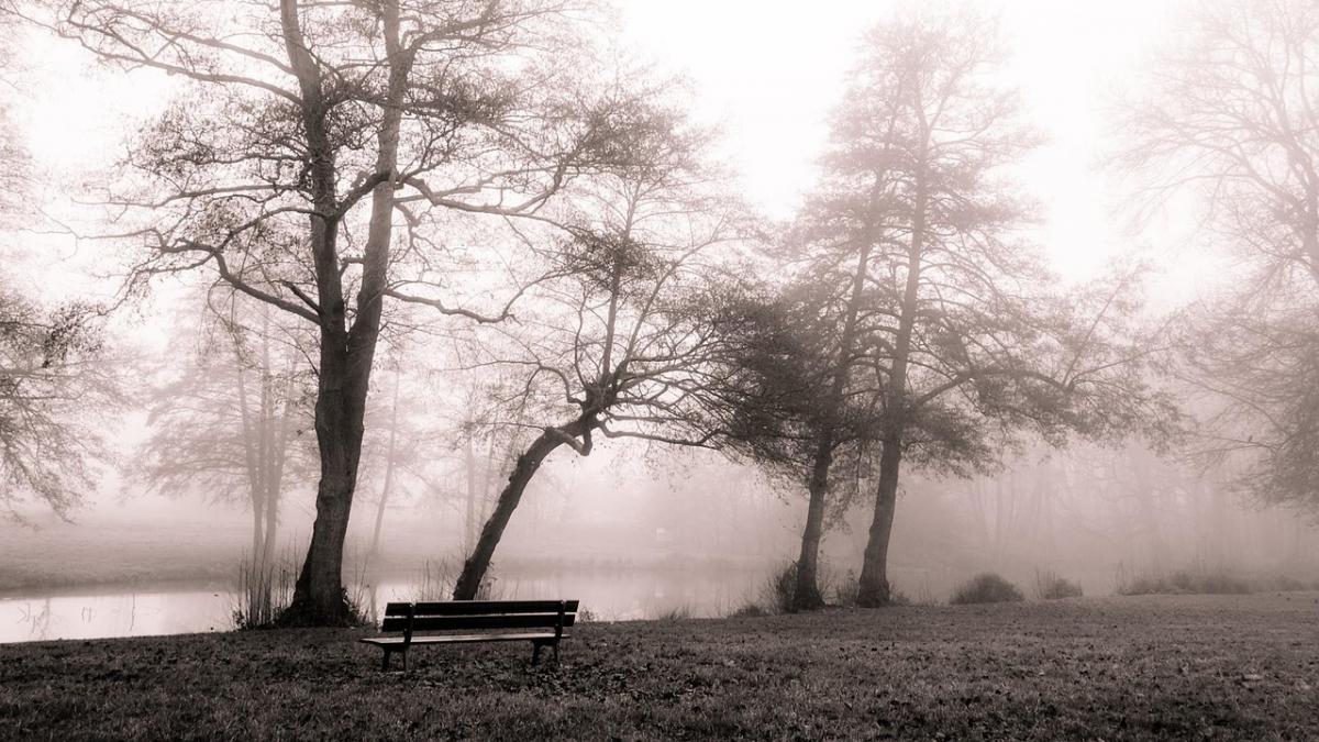 vremea se inrautateste in toata tara cod galben de ceata