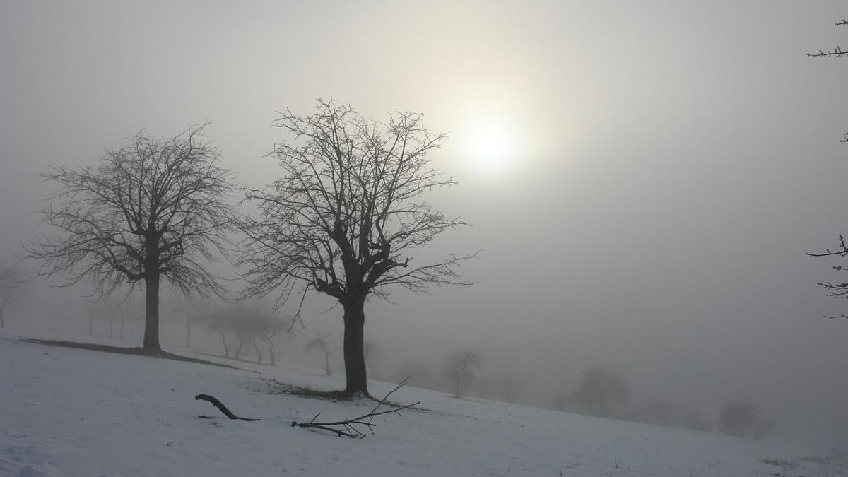 vremea va fi in general inchisa si vor cadea precipitatii in cea mai mare parte a tarii vezi