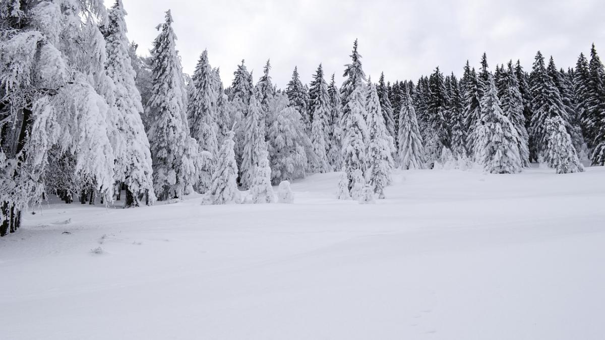 alerta de ultima ora cod galben de ninsori viscolite