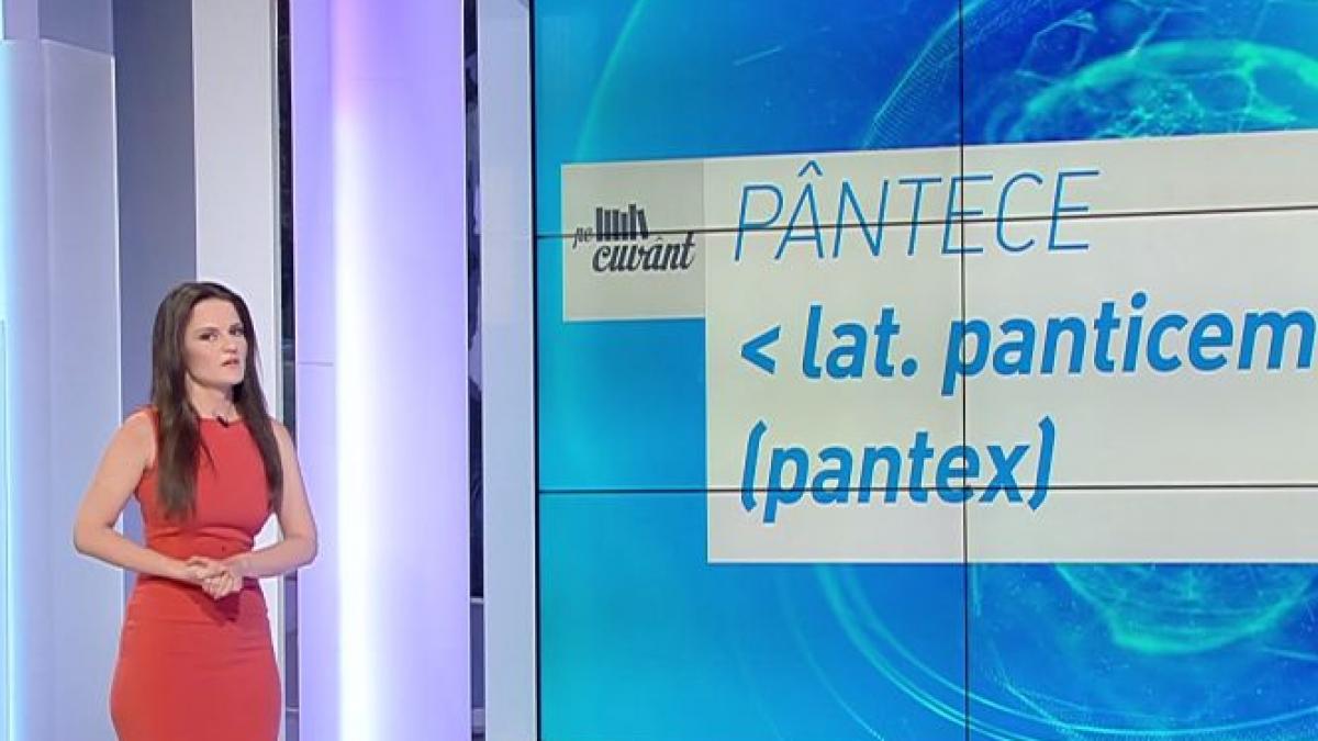 pe cuvant cu ana iorga de unde vine cuvantul pantece