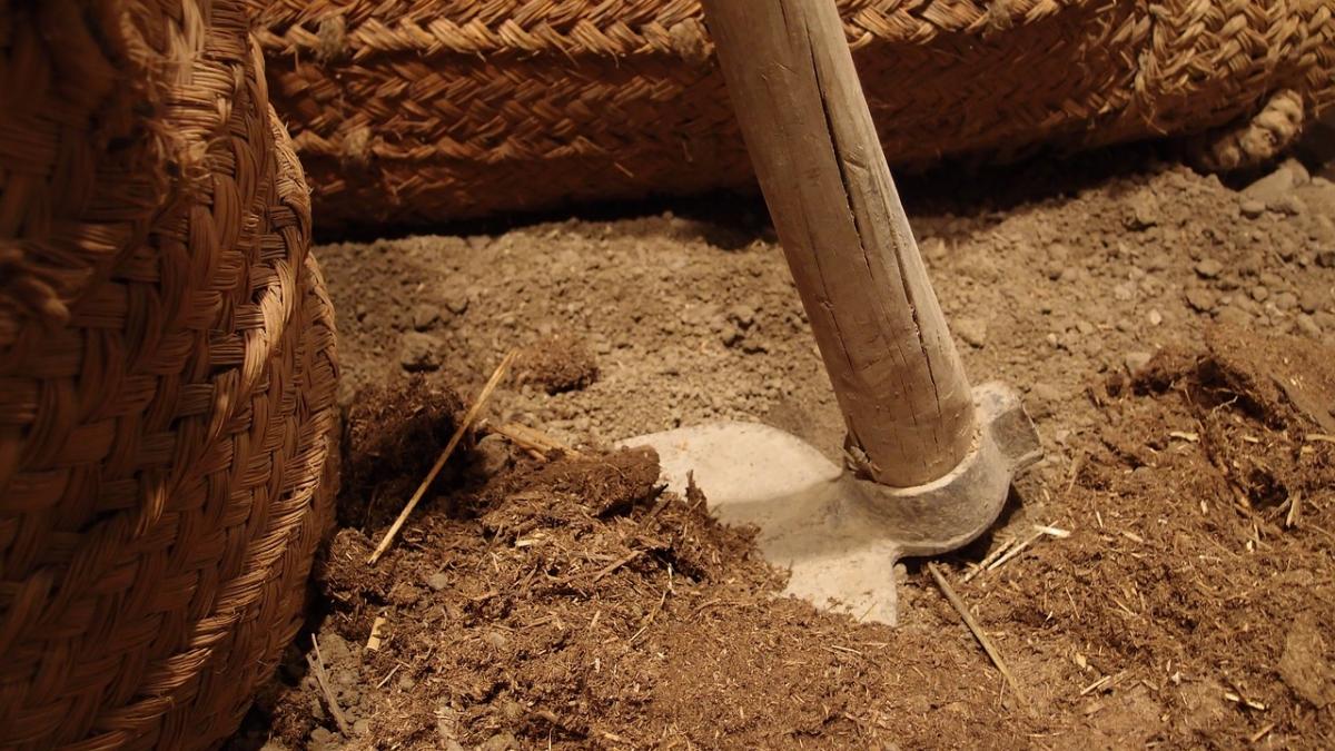 sapa linistit in propria sa gradina cand a auzit ceva ciudat cand s a uitat mai bine a avut un soc