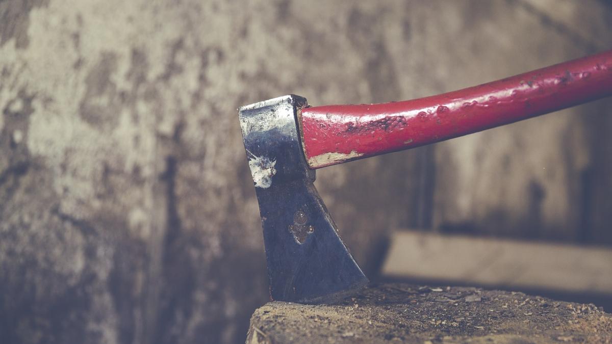 tanar impuscat in vrancea dupa ce a atacat un politist cu toporul