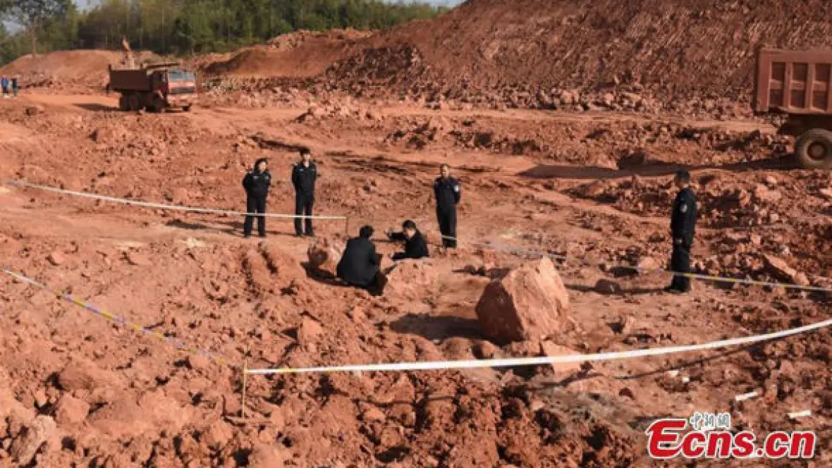 muncitorii sapau la constructia unei noi scoli cand au facut o descoperire socanta in pamant este