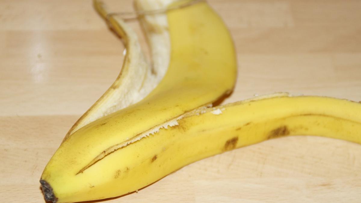 toti au crezut ca e nebuna cand au vazut ca isi pune coaja de banane pe tample ce s a intamplat la