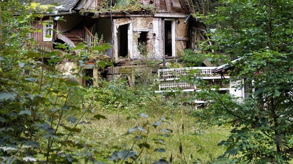 o masina a intrat in casa lor iar batranii au pierdut lucrul cel mai de pret cu prilejul acestui