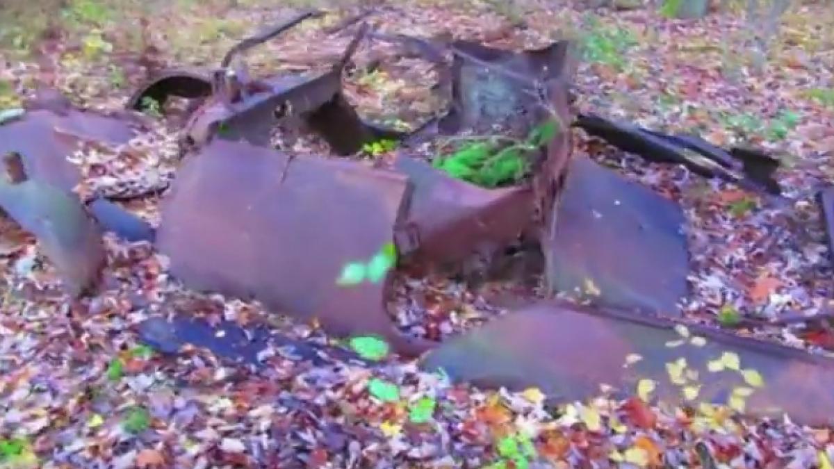 descoperire inedita facuta de un barbat in timp ce se plimba prin padure printre frunze uscate