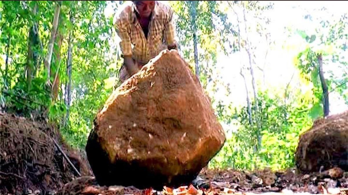 gestul emotionant al unui tata a sapat singur opt kilometri prin munte pentru ca fiii sai sa ajunga