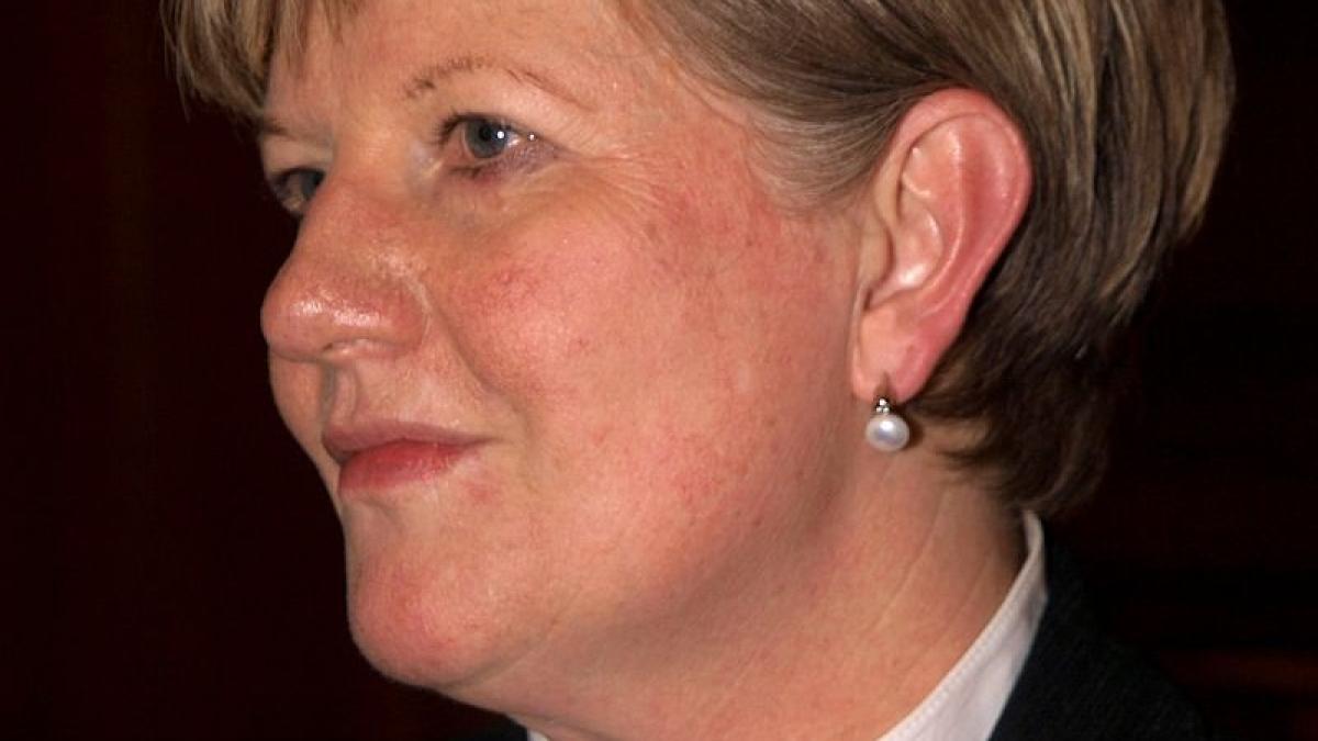 s a aflat cine a fost persoana responsabila pentru declaratia comuna a celor trei partide maghiare