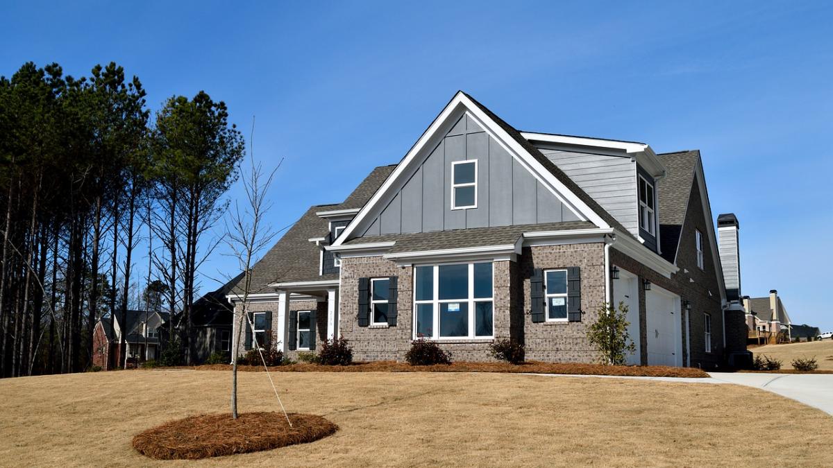 veste buna pentru tinerii intre 18 si 35 de ani ce le ofera statul