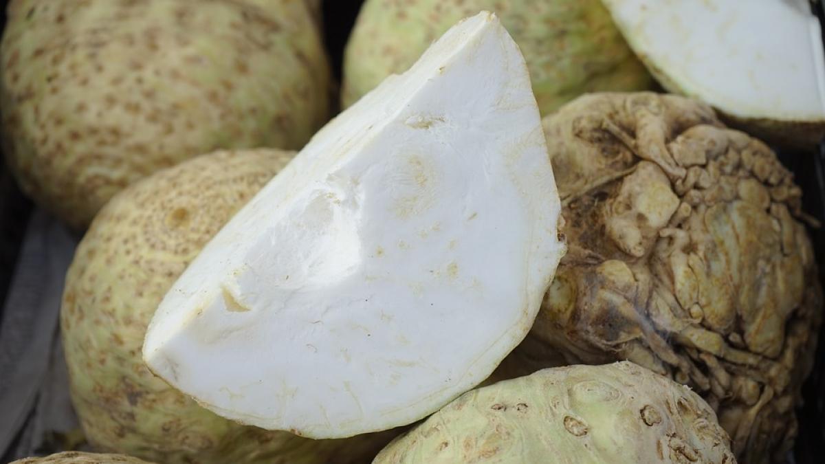 avertismentul medicilor nu mai consumati telina daca suferiti de aceasta boala