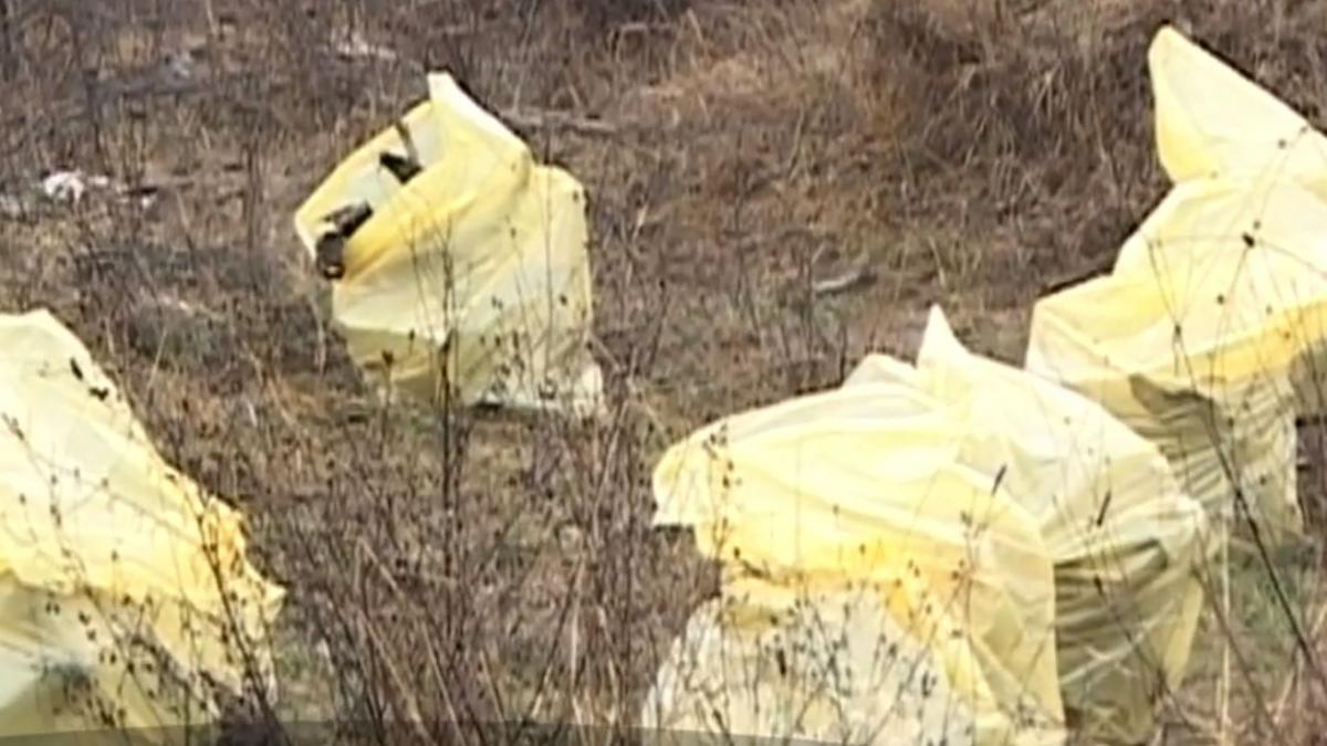 descoperire socanta in judetul gorj peste 500 de kilograme de oase au fost imprastiate pe zeci de