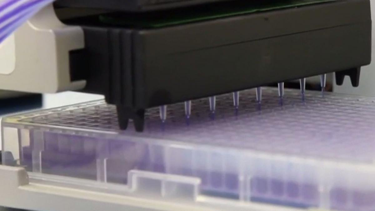 legea castrarii chimice pentru pedofili din nou in parlament