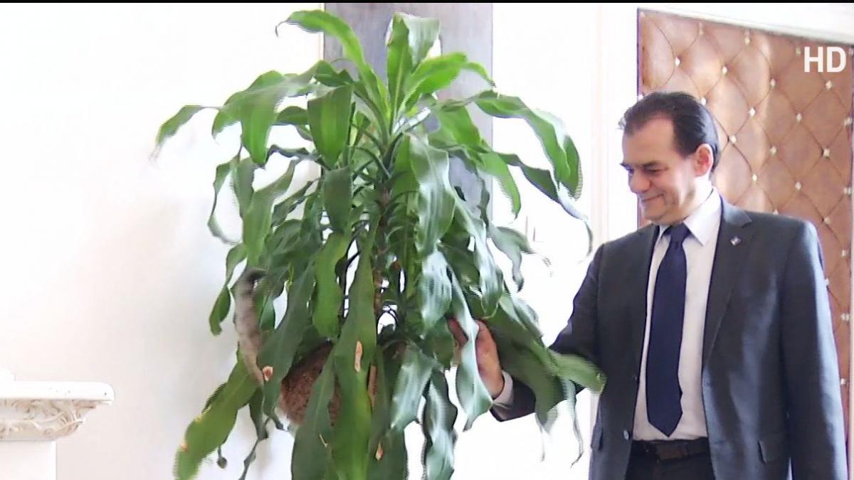 politikix presedintele pnl imagini de senzatie ce metoda antistres a gasit ludovic orban