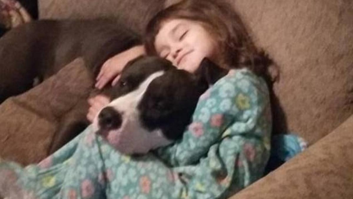 s a dus pe furis la geanta bunicii sa ia cateva bomboane dar ce a gasit acolo i a adus sfarsitul e