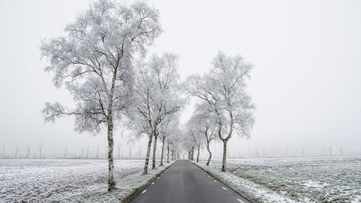 vremea se mentine geroasa astazi dar de miercuri se incalzeste prognoza meteo pentru urmatoarele