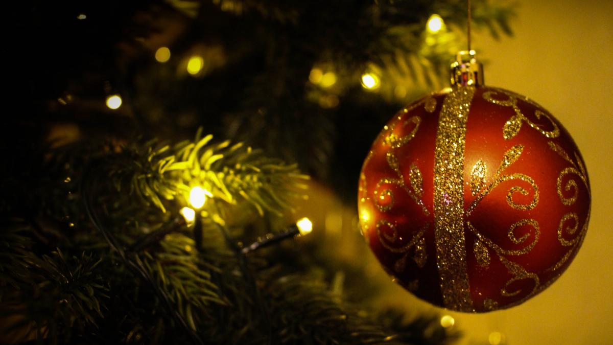 casutele comandate de primaria ploiesti pentru craciunul 2017 au ajuns in oras in 14 ianuarie 2018