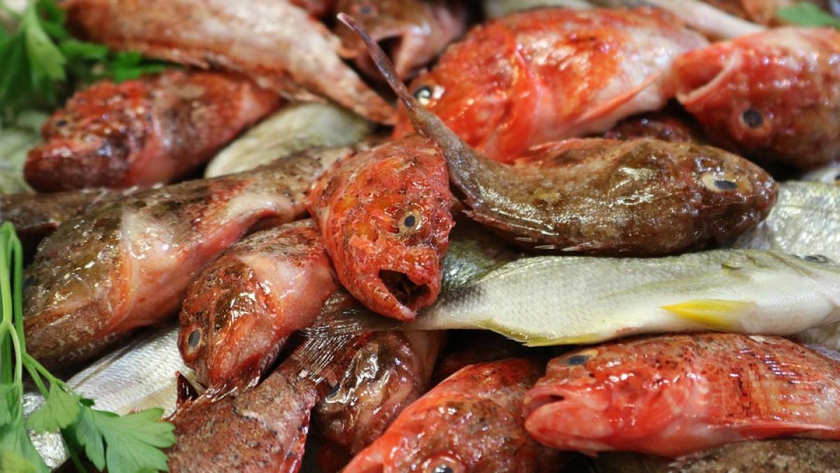 pestele care paralizeaza nervii si poate provoca moartea facem apel la locuitori sa nu manance