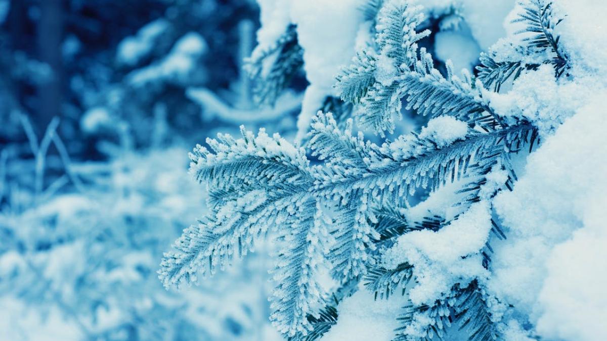 care este satul cu cele mai scazute temperaturi de pe glob