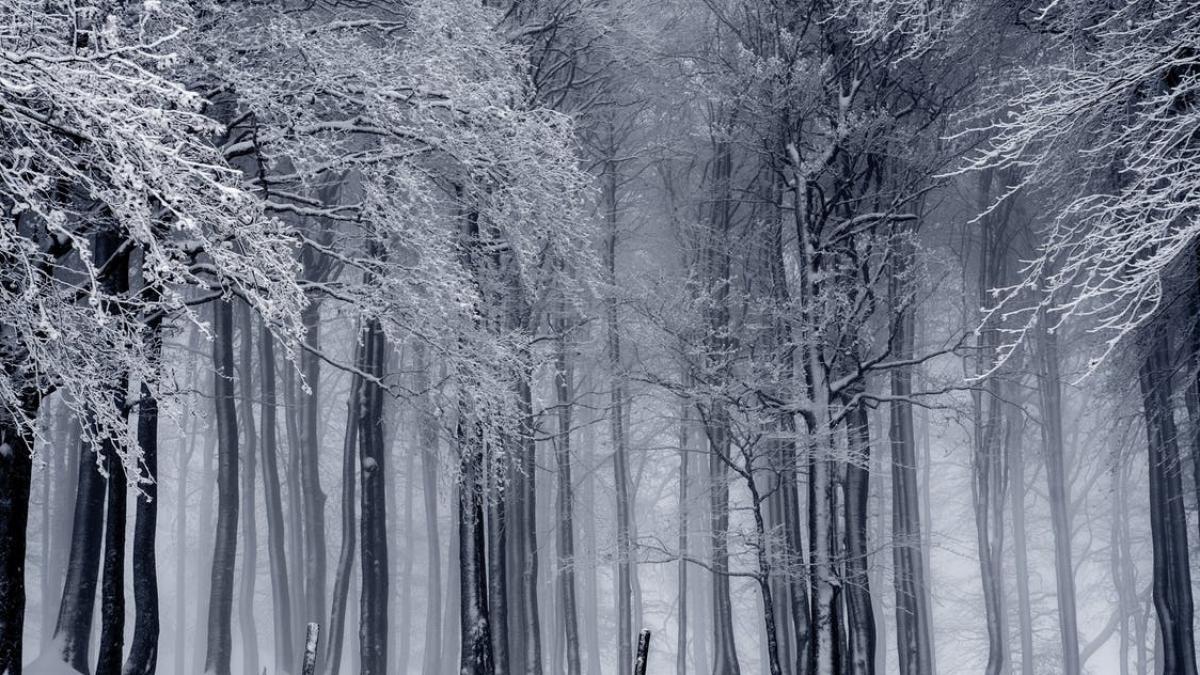 prognoza meteo pentru urmatoarele zile ce anunta meteorologii