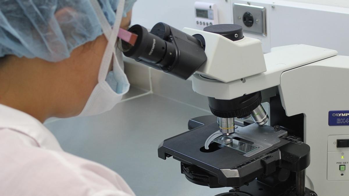 descoperirea care ar schimba medicina o proteina ar putea combate cancerul diabetul si obezitatea