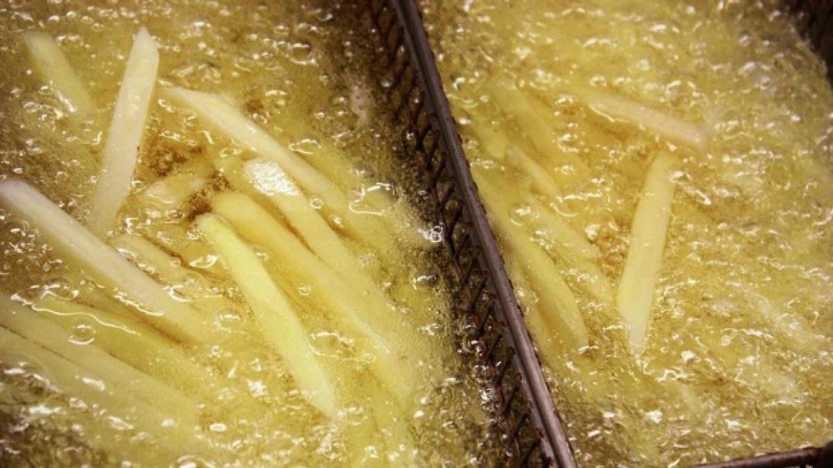 motivele pentru care nu ar trebui sa arunci uleiul folosit in chiuveta