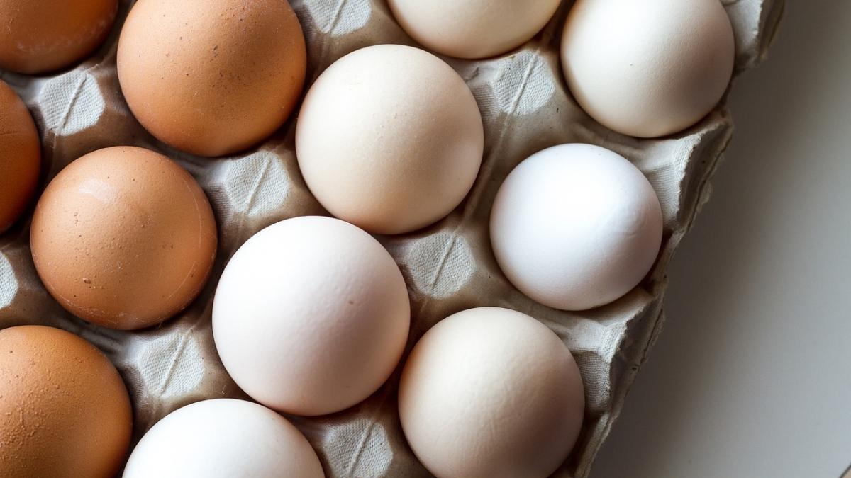 riscul la care ne supunem sanatatea cand pastram ouale in frigider