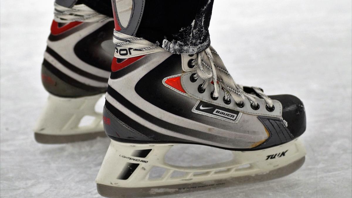 spaniolul javier fernandez campion european la patinaj artistic