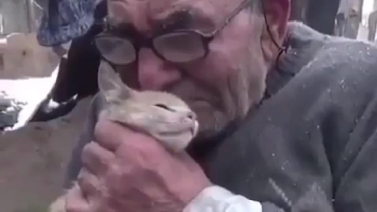 a dus pisica la veterinar si a avut un soc cand a intrat pe facebook ireal ce a facut medicul cu