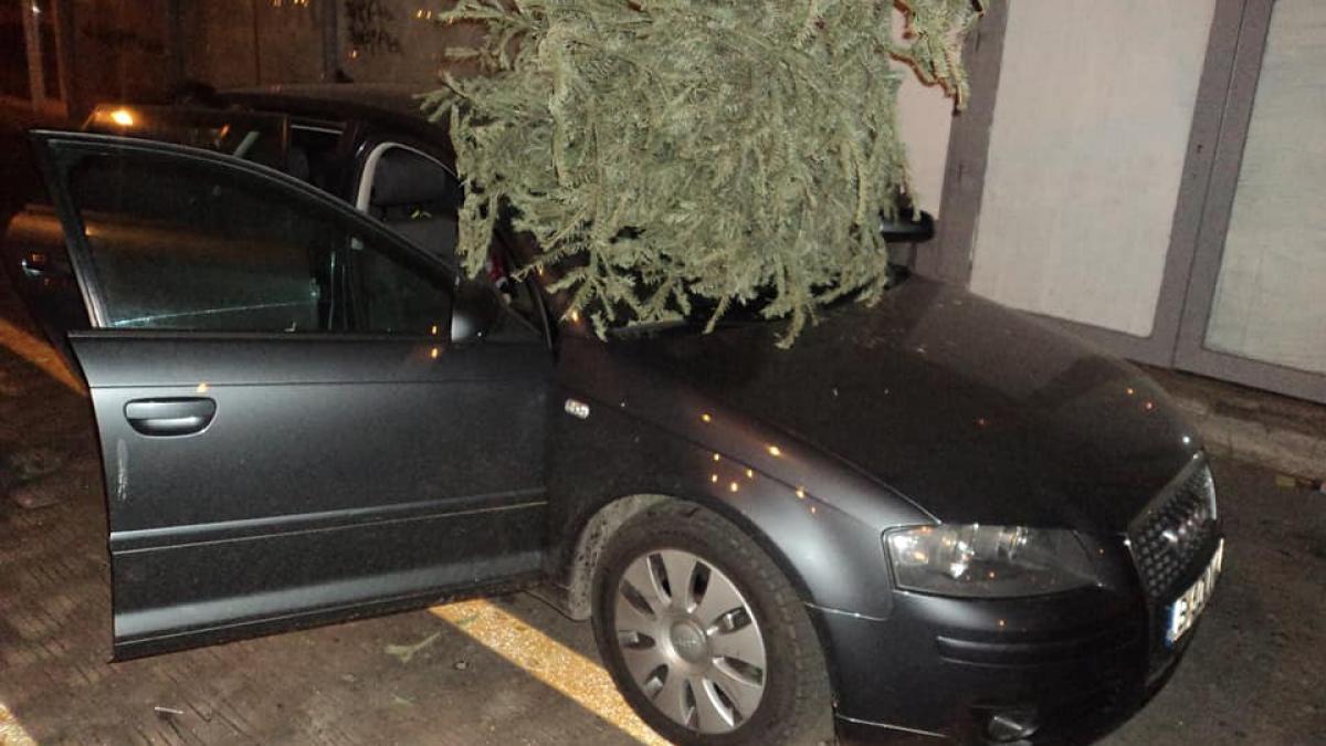 la un pas de tragedie un brad a fost aruncat de la balcon peste masinile din parcare foto