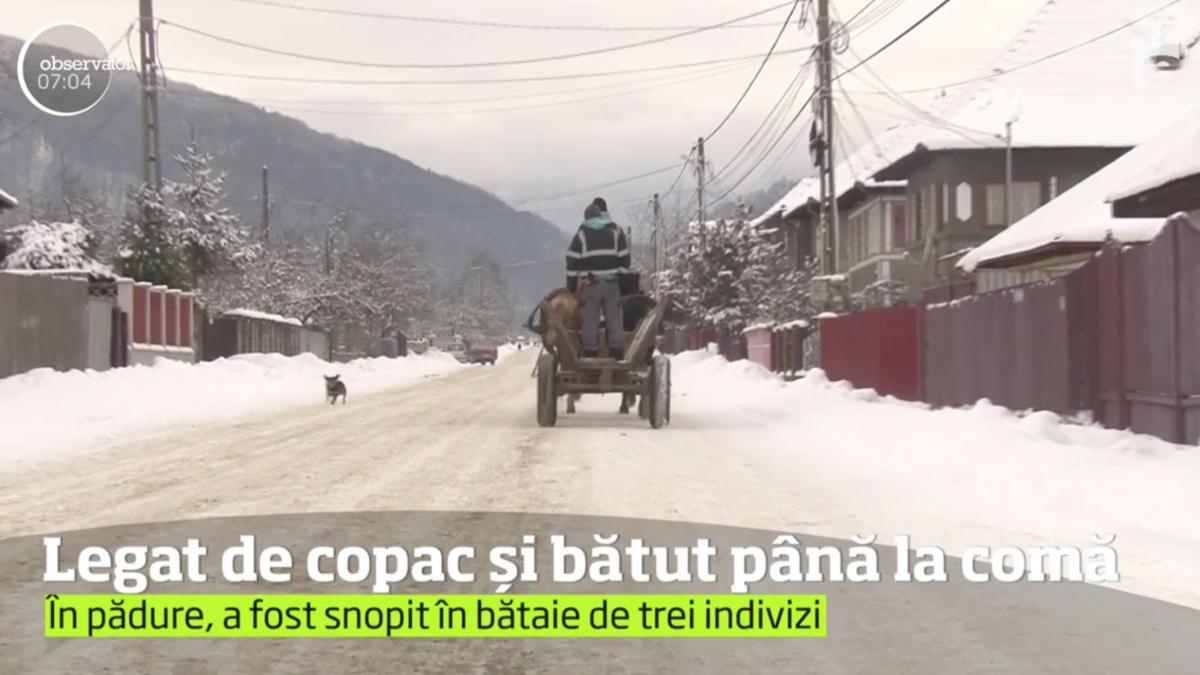 caz terifiant intr o padure din bacau trei indivizi au legat un tanar de un copac si l au batut
