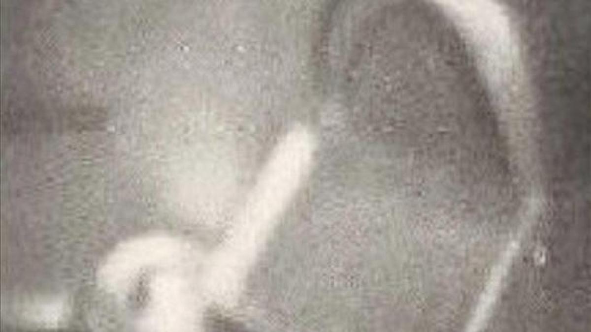 imaginile care au fost tinute ascunse 60 de ani un extraterestru cu ochelari de soare a vizitat