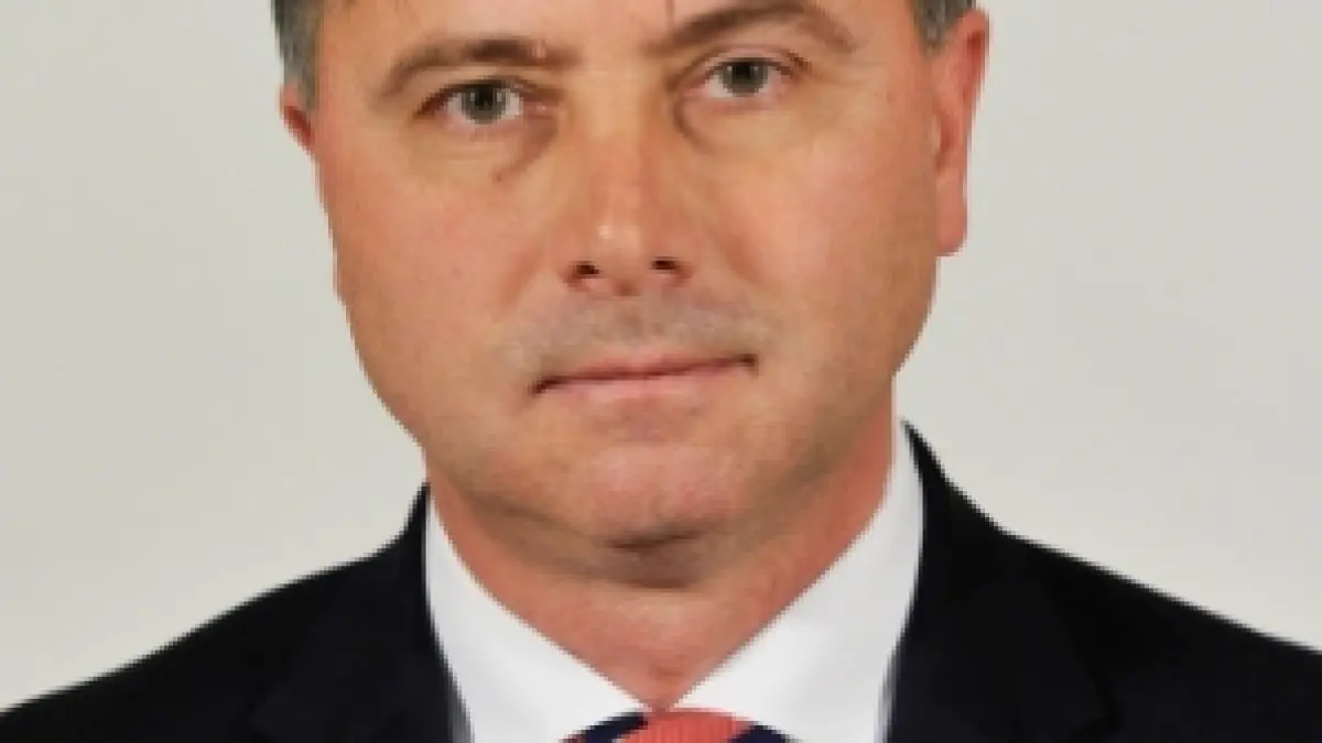 cine este viorel ilie propunerea pentru functia de ministru pentru relatia cu parlamentul